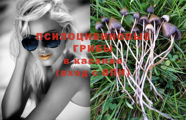 МДПВ Краснотурьинск
