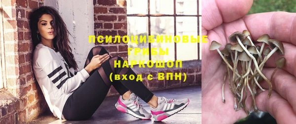 МДПВ Краснотурьинск