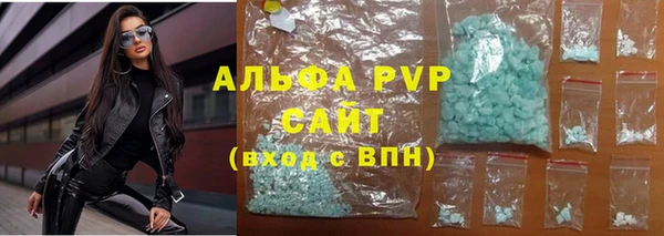 прущие грибы Александровское