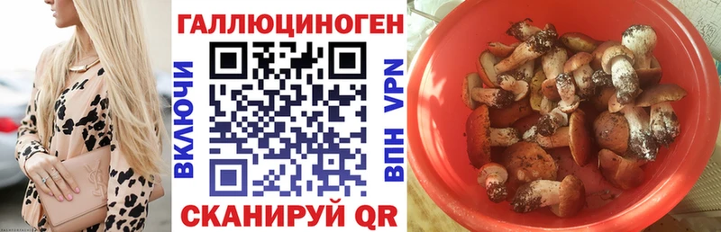 Галлюциногенные грибы мицелий  Называевск 